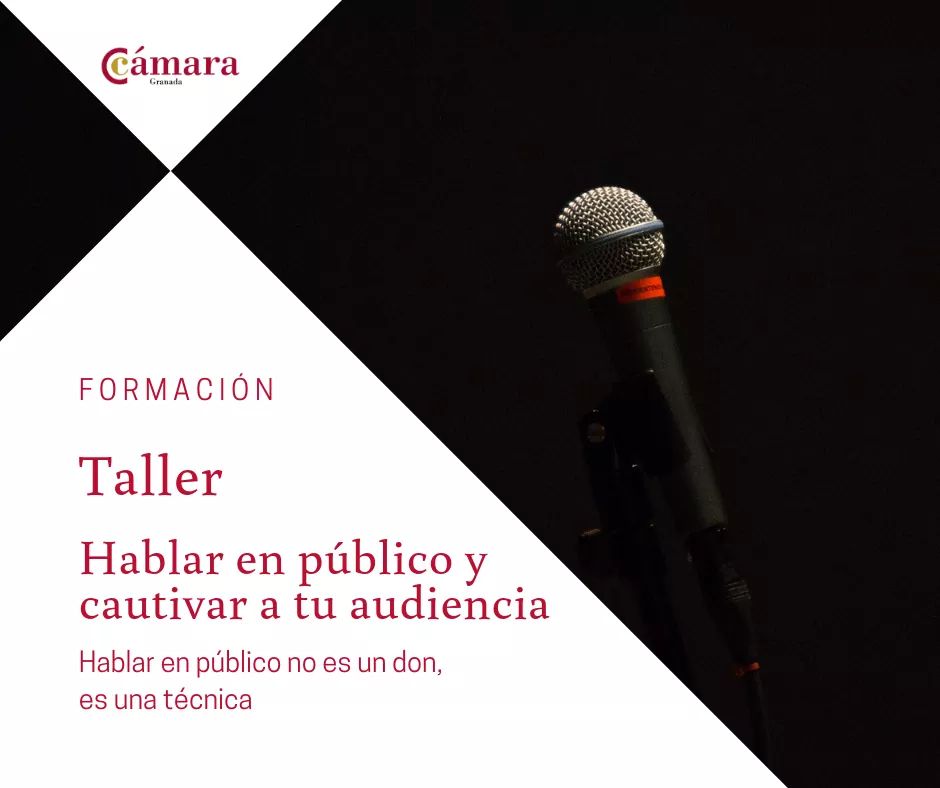 taller hablar en publico