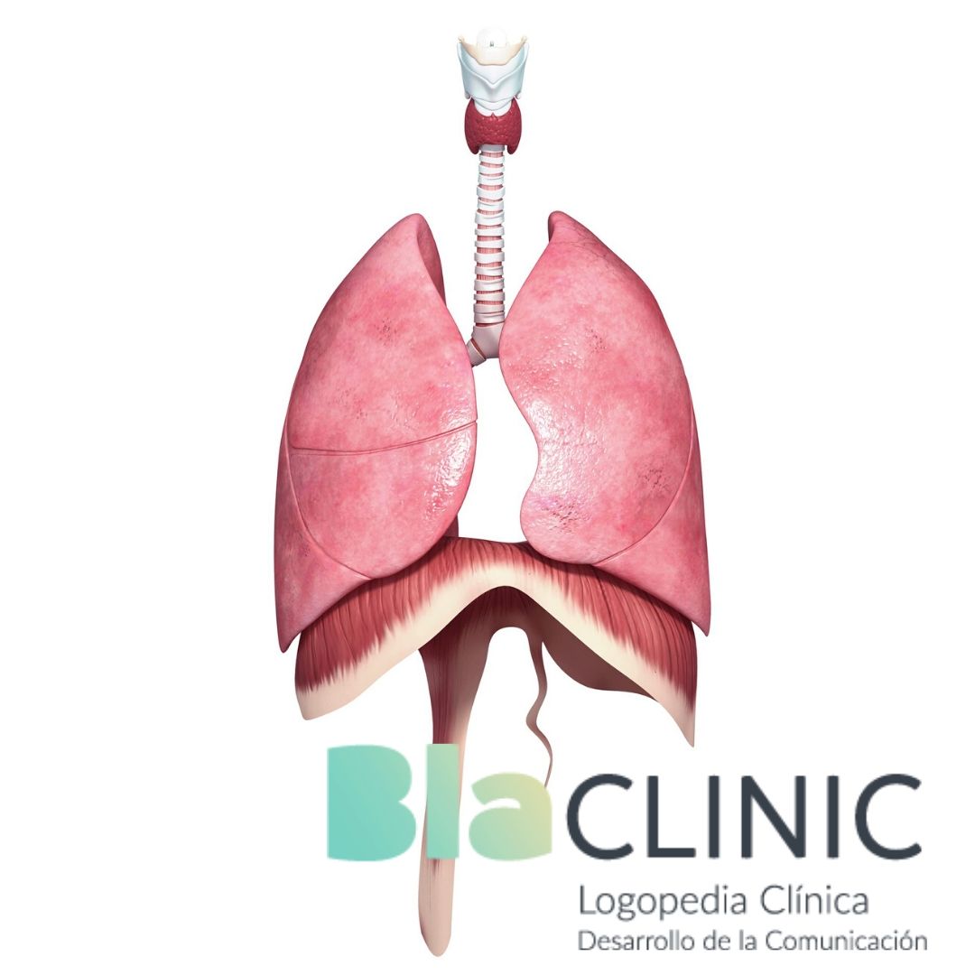 respiración costo diafragmática abdominal