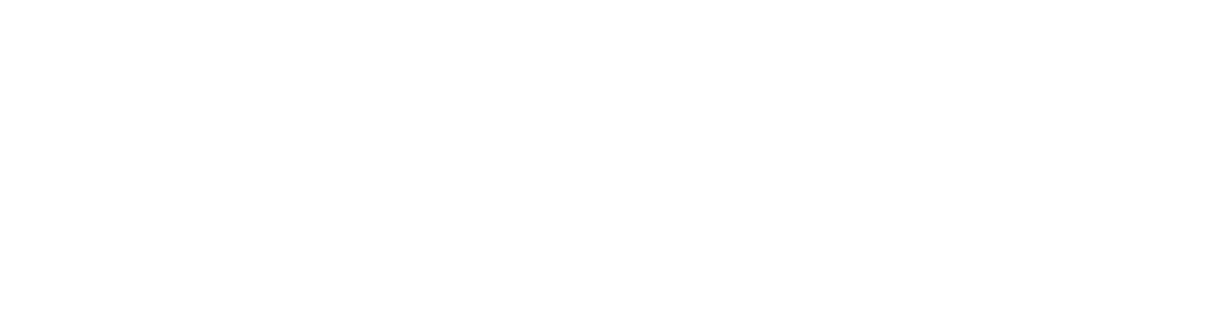 logo_blanco Neuroinn S. Coop. And
